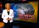 TV COURIC DEBUT.jpg